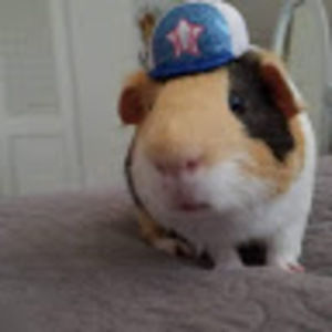 Meet your Posher, Alicxionnn